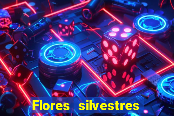 Flores silvestres brasileiras brasileiras flores silvestres nomes e imagens